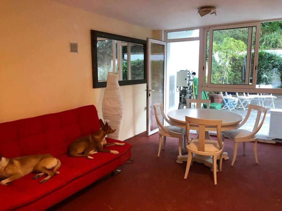 Apartamento Abierto Con Patio Matadepera Extérieur photo